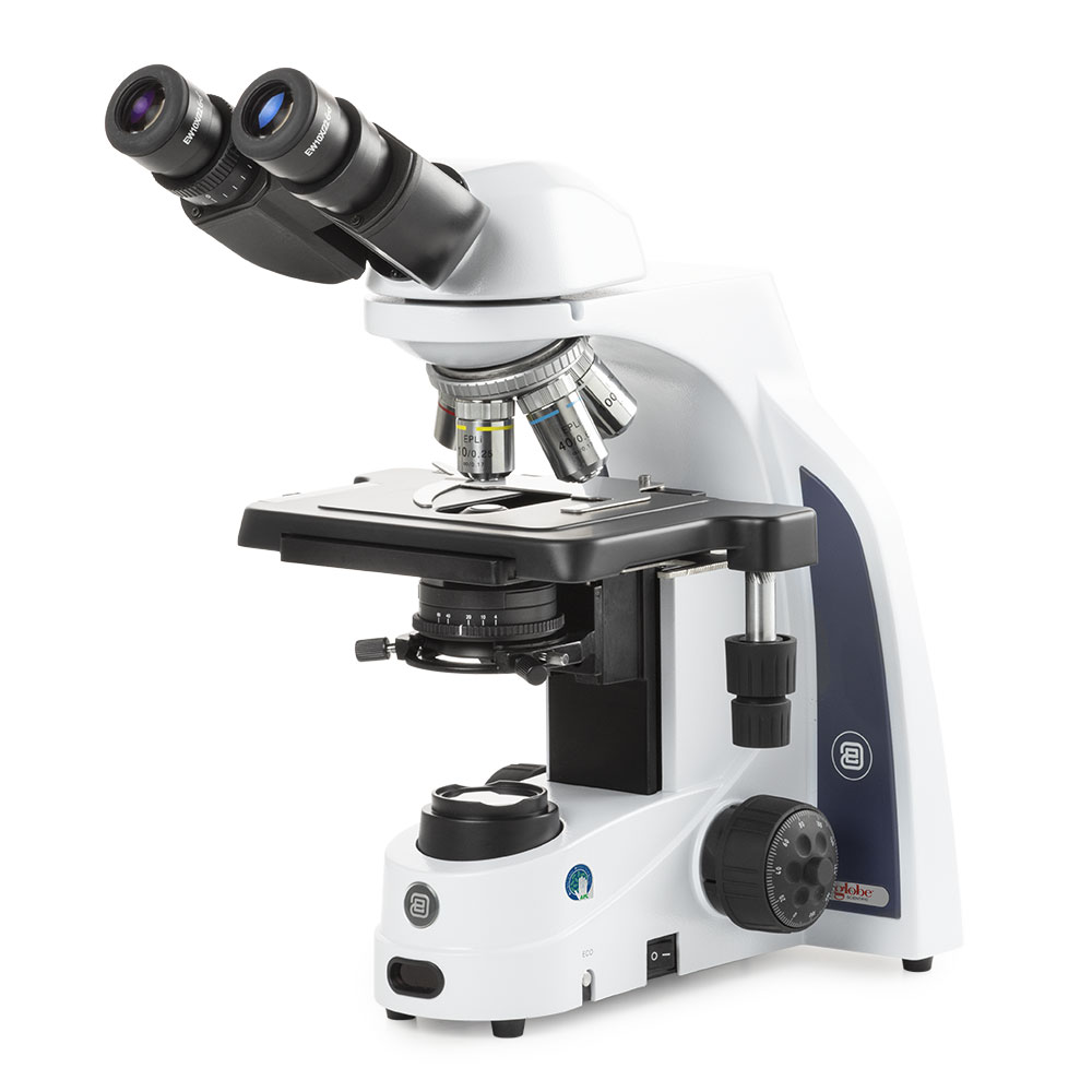 Picture of Euromex iScope® Compound Microscopes