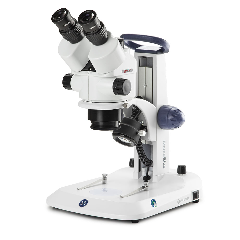 Picture of Euromex StereoBlue Stereo Microscopes