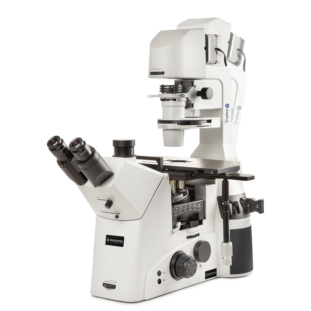 Picture of Euromex Delphi-X Inverso Inverted Microscope