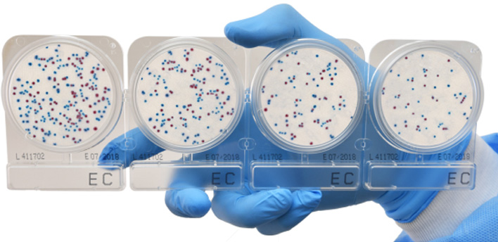 Picture of Compact Dry™ Prepared Media Plates