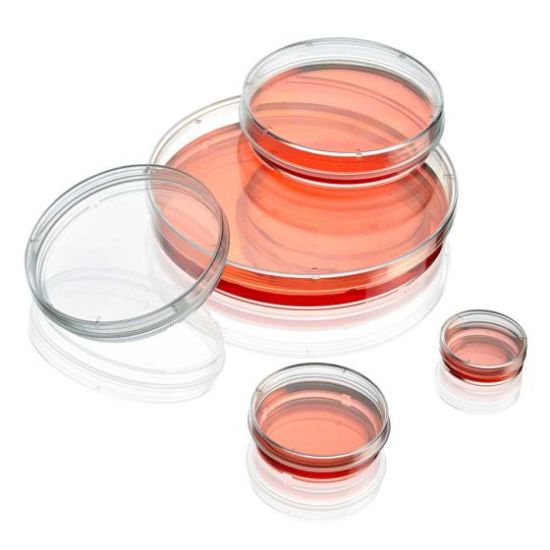 Picture of Globe Scientific Diamond SureGro Cell Culture Dishes