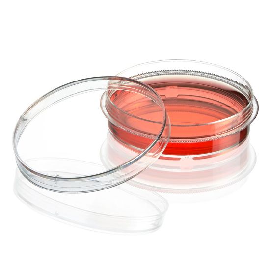 Picture of Globe Scientific Diamond SureGro Cell Culture Dishes - TC-DISH-60